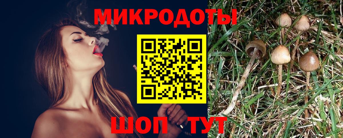 Новоалтайск  Галлюциногенные грибы мицелий  Вход с VPN  Псилоцибиновые грибы прущие грибы 