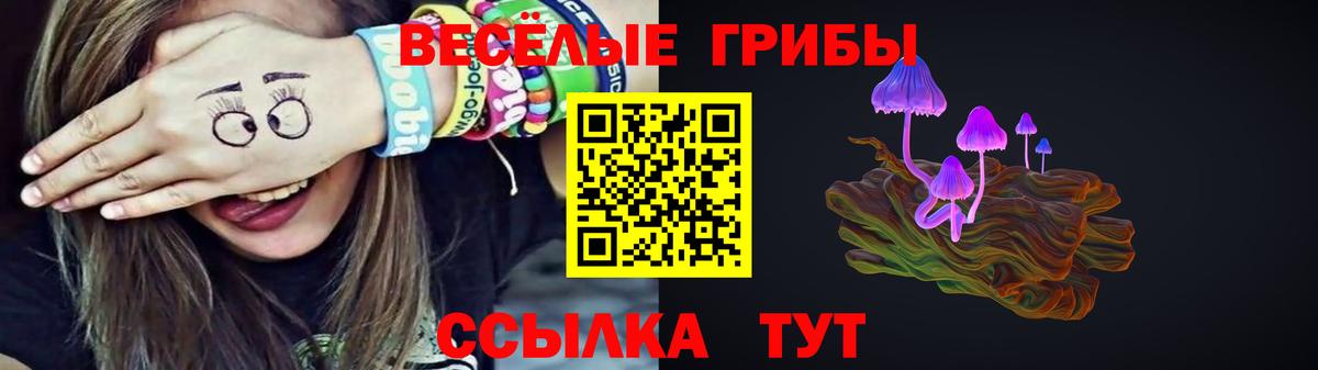 Псилоцибиновые грибы мухоморы Новоалтайск